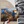 10x8 Hardback Photography Book - Nature Through My Lens