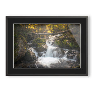 Hidden Cascades
