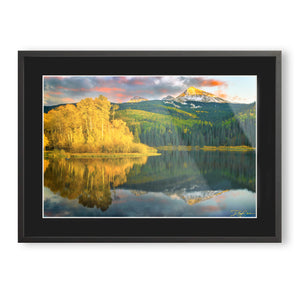 Seasons Reflected