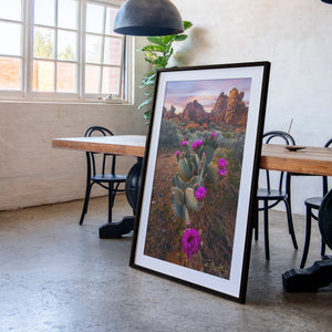 Desert Blumes