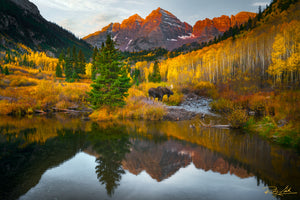 Echoes of Autumn - 24x36 Print