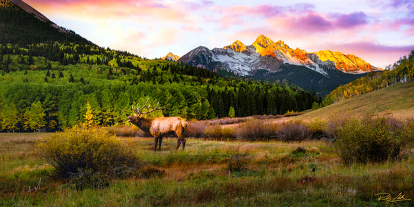 Mountain Song
