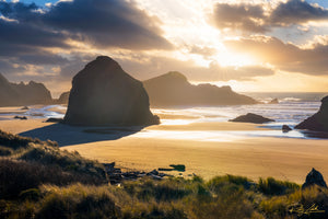 Rocky Shores