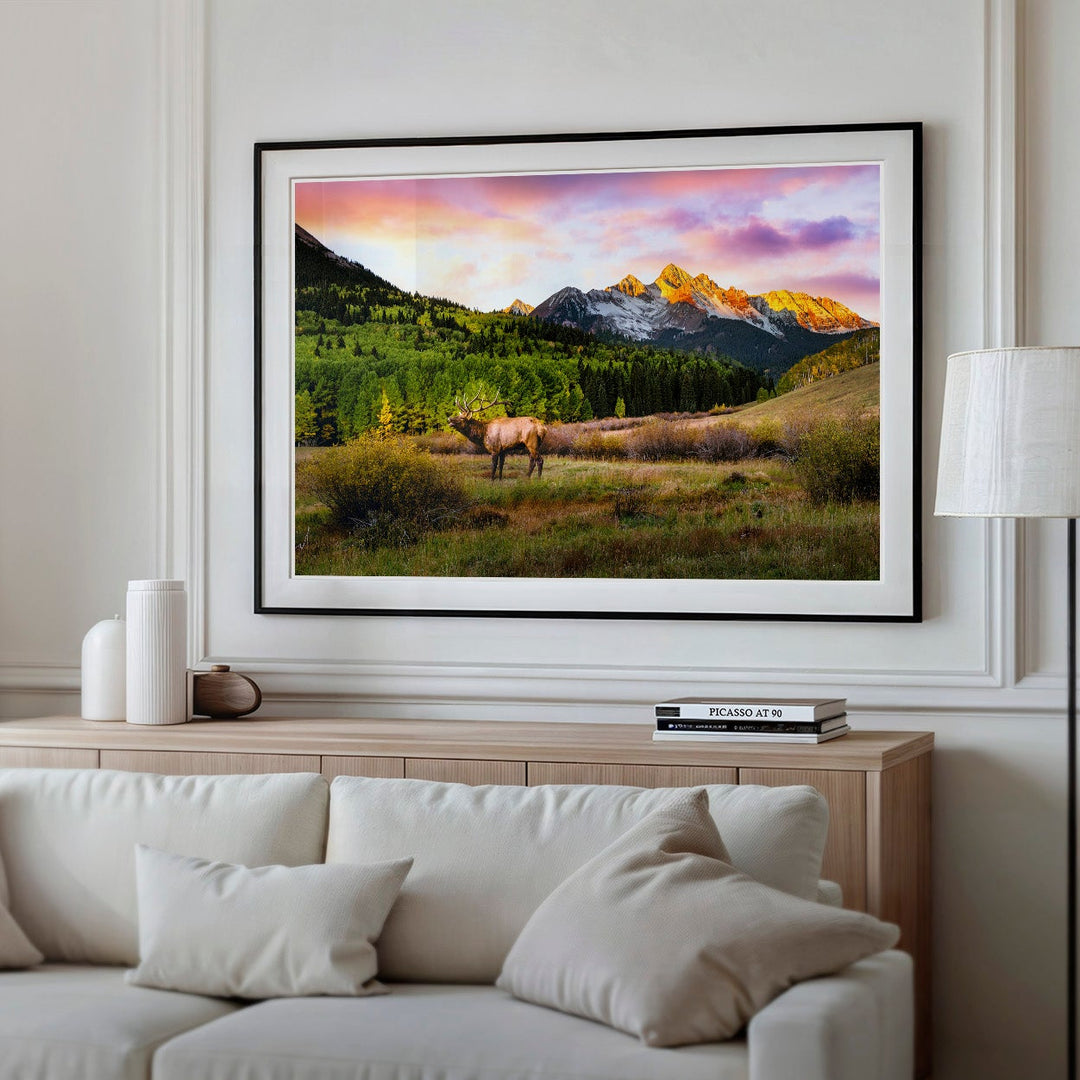 Living room with a white sofa, coffee table, and a large framed landscape photo of a bull elk in a field.
