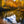 The Autumn Mirror