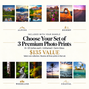 2027 Calendar & Print Bundle