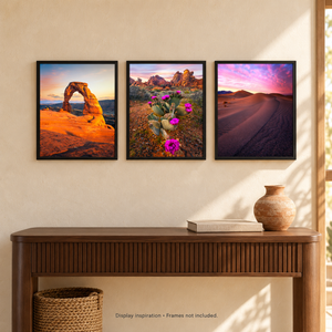 The Southwestern Collector Set