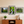 Peaceful Woodlands Fine Art Print Set (Set of 3)