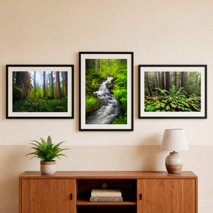 Peaceful Woodlands Fine Art Print Set (Set of 3)