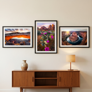 Desert Icons Fine Art Print Set (Set of 3)