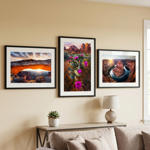 Desert Icons Fine Art Print Set (Set of 3)