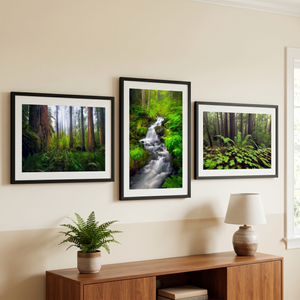 Peaceful Woodlands Fine Art Print Set (Set of 3)