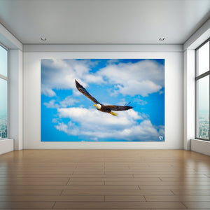 Soaring - Limited Edition-SQ2051173